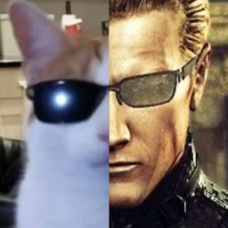 حسون اكل البطاطا